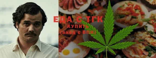 прущие грибы Елабуга