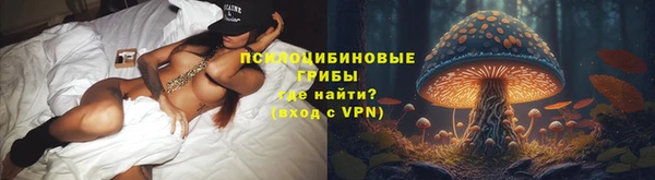 мескалин Переславль-Залесский