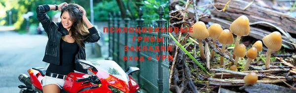 наркотики Пересвет