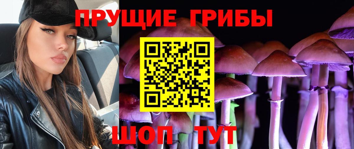 купить  цена  Галлюциногенные грибы прущие грибы  Вход с VPN  Новоуральск 