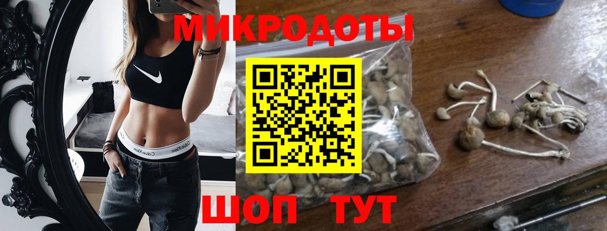 Псилоцибиновые грибы Psilocybine cubensis  Новоуральск 